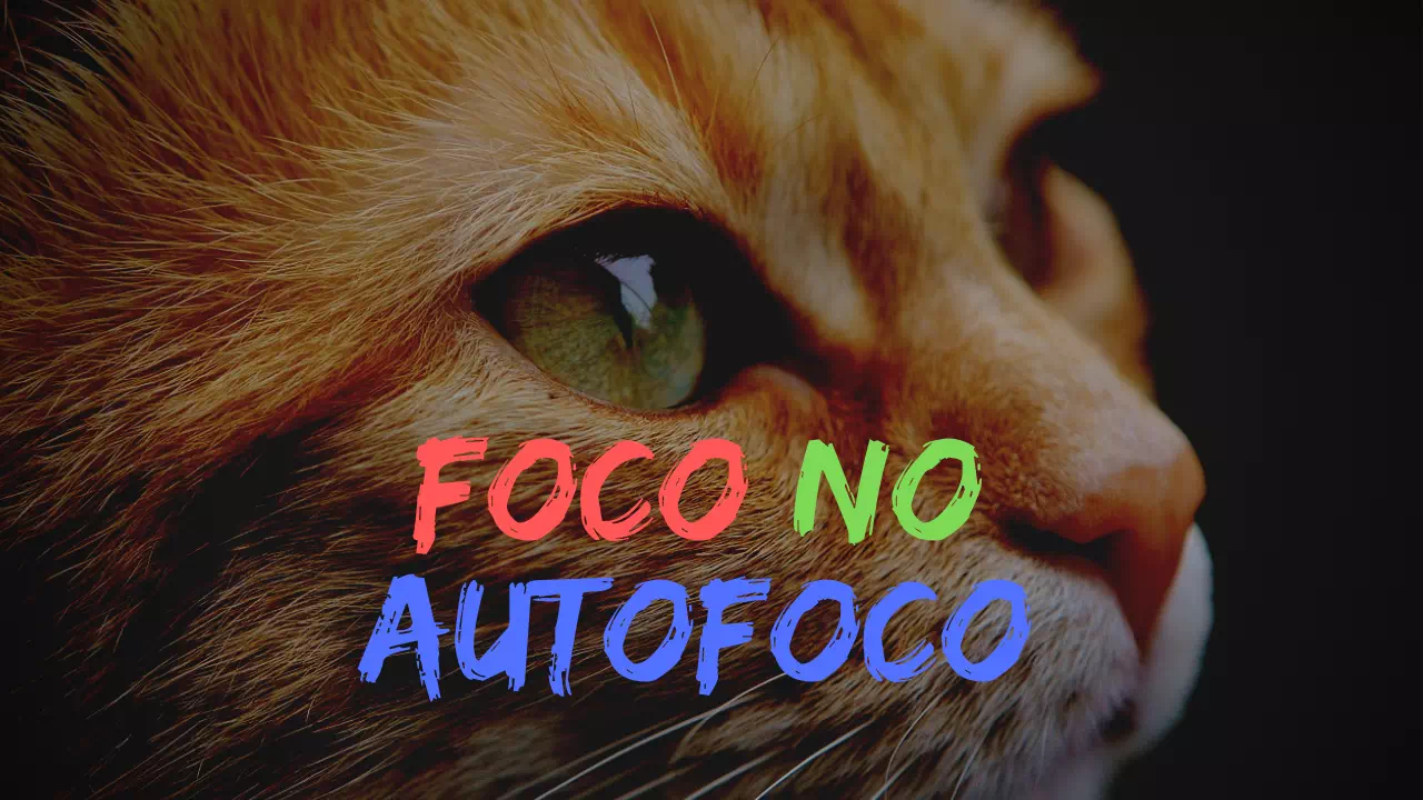 Foco no Autofoco